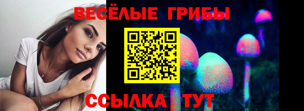 Псилоцибиновые грибы ЛСД Гудермес